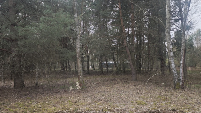 Działka Sprzedaż Wólka Kryształowa